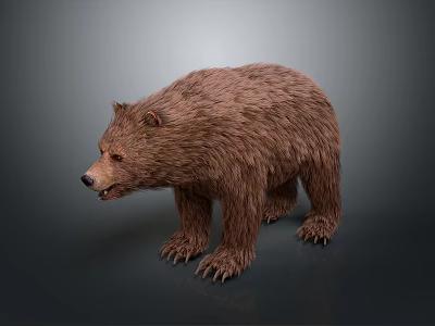 Realistic Brown Bear With Thick Fur Standing In Natural Wildlife Environment 3d model