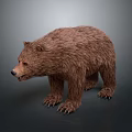 Realistic Brown Bear With Thick Fur Standing In Natural Wildlife Environment