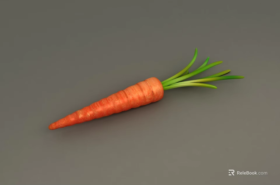 Healthy Fresh Orange Carrot with Green Leafy Tops on Gray Background 3d model 