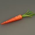 Carrot 2016 3d model