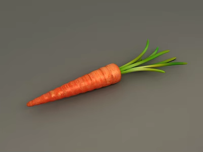 Healthy Fresh Orange Carrot with Green Leafy Tops on Gray Background 3d model