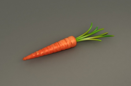 Carrot 2016 3d model