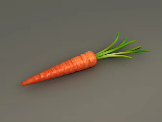 Carrot 2016 3d model