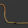 Yellow and brown patterned cobra with raised head and coiled body on black background