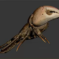 Brown Reptile With Hard Shell And Extended Limbs On Dark Background 3d model