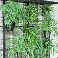 Lush Green Potted Plants On Wall Grid With Hanging Pots And Various Foliage