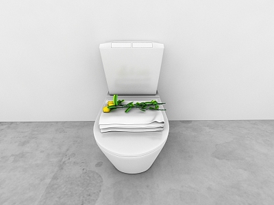 Toilet 3d model