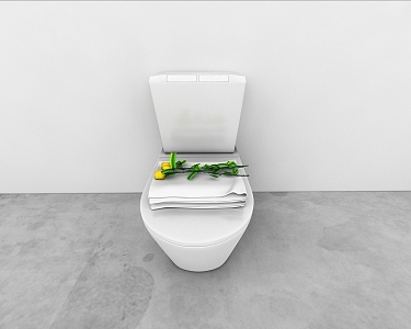 Toilet 3d model