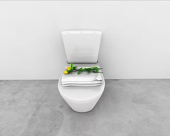 Toilet 3d model