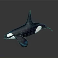 Aquatic Orca With Dark Blue White Body Glowing Blue Spots And Reflection On Gray Background