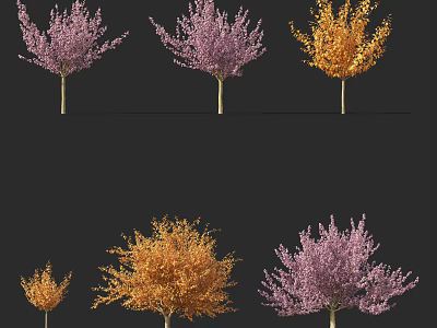 Vibrant Arbor Trees with Purple and Orange Foliage in Various Sizes 3d model