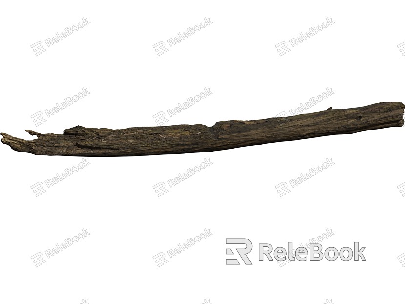 rotten wood old trunk dead roots model