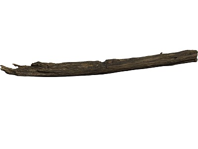 rotten wood old trunk dead roots 3d model