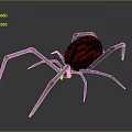 Black Spider With Red Flame Pattern On Abdomen And Long Legs Design