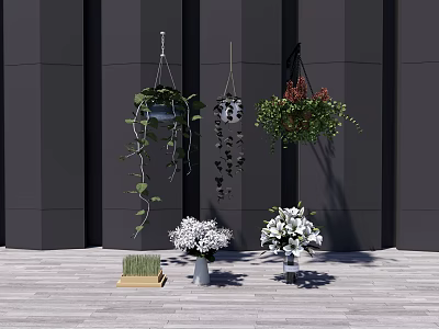 Stylish Hanging Basket Plants Decorating Black Wall With Wooden Floor And White Flowers 3d model