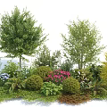 Low Growing Shrubs in Lush Garden with Pink Blue Flowers Green Grass and Tall Trees