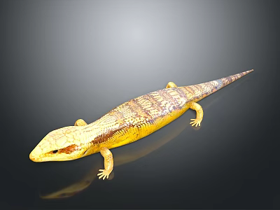Detailed Yellow And Brown Patterned Lizard With Long Body On Black Background 3d model