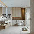 Modern Bathroom Interior Design With Vanity Cabinets Toilet And Shower