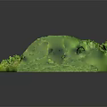 Green Plants Covering Stone Wall In Miniature Landscape Model With Grass And Ivy