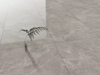 Gray Marble Tile Floor With Modern Minimalist Design Smooth Surface And Decorative Plant 3d model