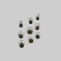 Collection of Ornamental Shrubs Featuring Feathery White Plumes And Lush Green Foliage