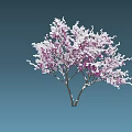 Blooming Tree with Pink and White Flowers on Blue Gradient Background 3d model