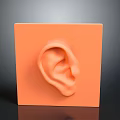 3D Sculpted Ear Shape Featured on Orange Square Minimalist Decorative Art Piece
