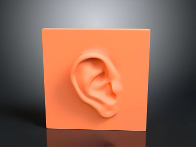 3D Sculpted Ear Shape Featured on Orange Square Minimalist Decorative Art Piece 3d model