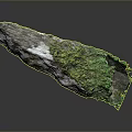 Moss Covered Wooden Log with White Patches Natural Holes and Dark Background