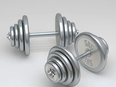 Chrome Plated Dumbbells As Essential Sports Equipment For Home Fitness Training 3d model