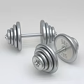 Chrome Plated Dumbbells As Essential Sports Equipment For Home Fitness Training