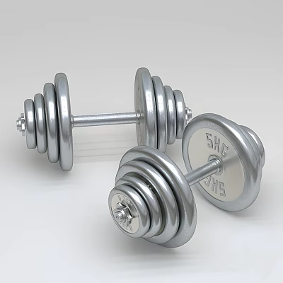 Chrome Plated Dumbbells As Essential Sports Equipment For Home Fitness Training 3d model