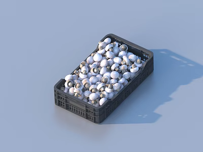 Fresh White Bulb Vegetables Packed in Black Plastic Crate 3d model