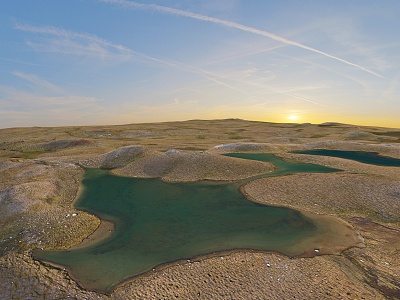 swamp wetland dune model