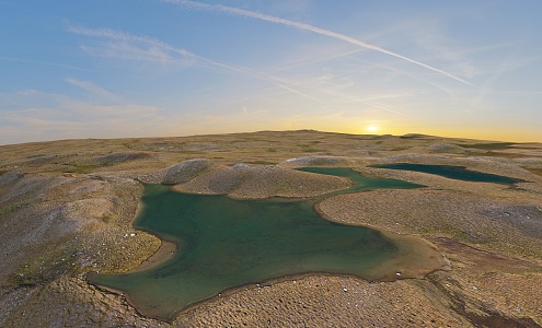 swamp wetland dune 3d model