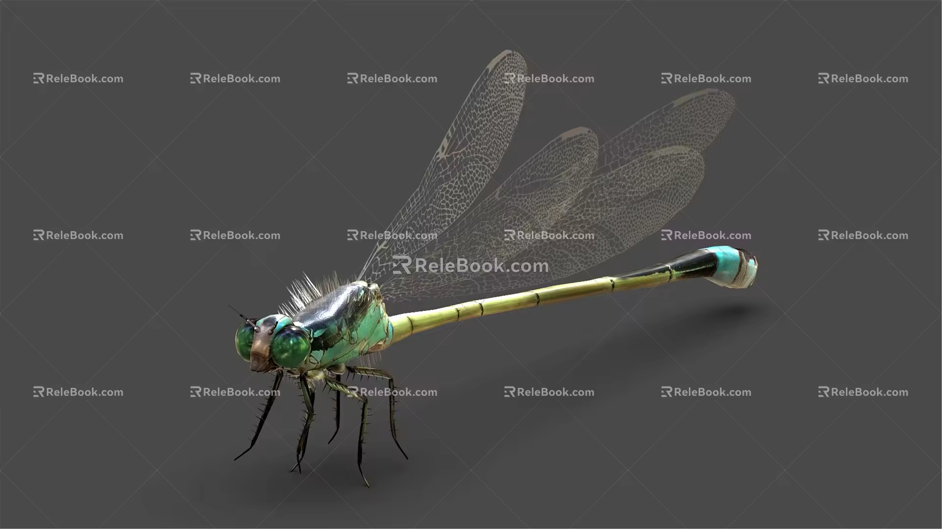 modern dragonfly 3d model