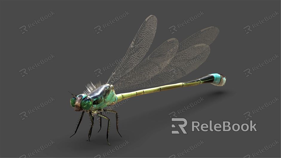 modern dragonfly model