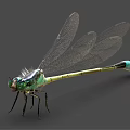 modern dragonfly 3d model