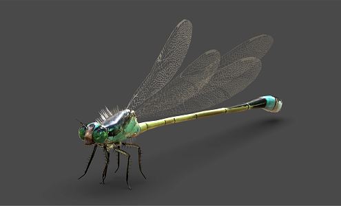 modern dragonfly 3d model