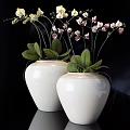 Bonsai Plants in White Ceramic Pots with Pink Flowers and Green Leaves