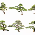 Various Pine Tree Plant Combination Featuring Different Shapes And Lush Green Foliage 3d model