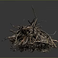 Natural Forest Floor Pile of Twigs and Tree Roots with Soil and Moss