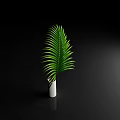 Elegant White Vase With Fresh Green Palm Leaves On Black Background
