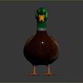 Realistic Duck With Green Head Yellow Beak Brown Body And Orange Feet