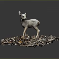 Fawn Standing On A Pile Of Various Colored Leaves In Natural Environment