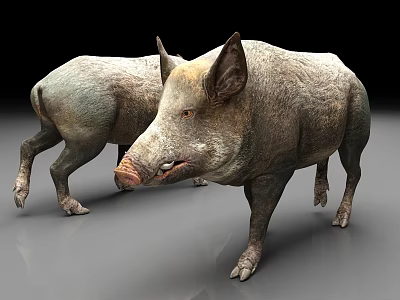 wild animal boar 3d model wild animal boar 3d model