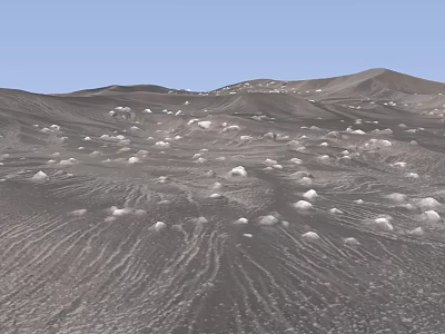 Barren Desert Ground with Black Sand Small Dunes and White Stones 3d model
