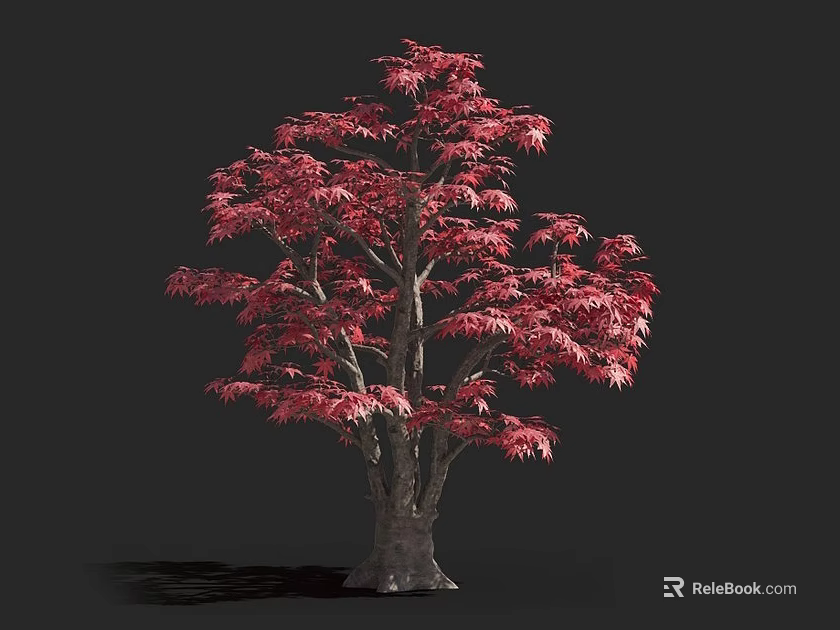 Red Leaf Arbor With Vibrant Red Foliage And Strong Trunk In Isolated Black Background 3d model 