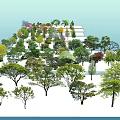 Various Arbor Varieties With Different Colored Foliage Arranged On White Platforms 3d model
