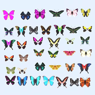 butterfly animal flying creature 3d model